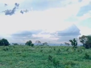 fazenda-a-venda-em-sao-goncalo-do-gurgueiapi-464-hectares