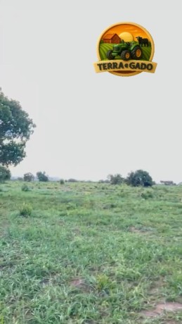 fazenda-a-venda-em-sao-goncalo-do-gurgueiapi-464-hectares-big-1