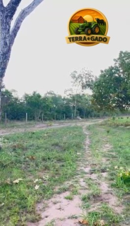 fazenda-a-venda-em-sao-goncalo-do-gurgueiapi-464-hectares-big-2