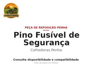 pino-fusivel-de-seguranca-para-colhedoras-de-forragens-penha