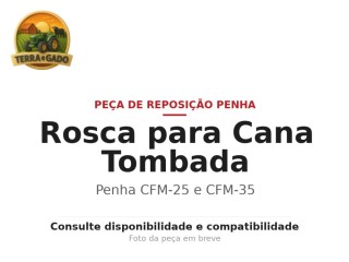 rosca-sem-fim-para-levantar-cana-tombada-para-colhedoras-penha-cfm-25-e-cfm-35