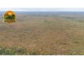 fazenda-bruta-1908-ha-394-alqueires-em-rio-sono-to-regiao-da-mansinha-matopiba-small-1