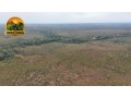 fazenda-bruta-1908-ha-394-alqueires-em-rio-sono-to-regiao-da-mansinha-matopiba-small-4