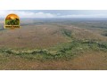 fazenda-bruta-1908-ha-394-alqueires-em-rio-sono-to-regiao-da-mansinha-matopiba-small-3