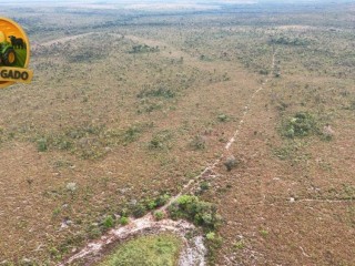 fazenda-bruta-1908-ha-394-alqueires-em-rio-sono-to-regiao-da-mansinha-matopiba