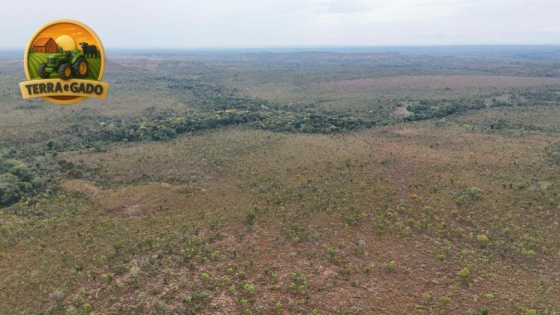 fazenda-bruta-1908-ha-394-alqueires-em-rio-sono-to-regiao-da-mansinha-matopiba-big-4