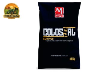 racao-colossal-equinos-peletizada-para-cavalos-em-manutencao-e-trabalho-leve-10-pb-saco-30-kg