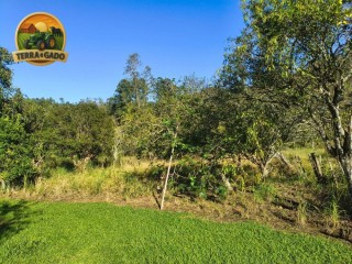area-rural-de-195-hectares-em-vale-do-solrs-com-estrutura-completa-e-aceita-parcelamento-safra